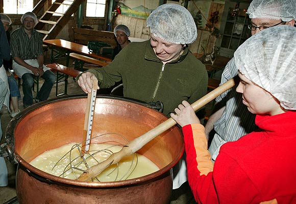 Schaukäsen der Käseschule Allgäu Schaukäsen der Käseschule Allgäu