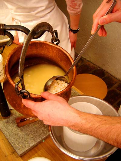 Portionieren des Käsebruchs Portionieren des Käsebruchs